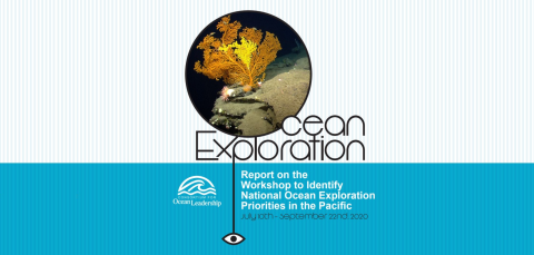 2020 Workshop to Identify National Ocean Exploration Priorities in the Pacific Logo